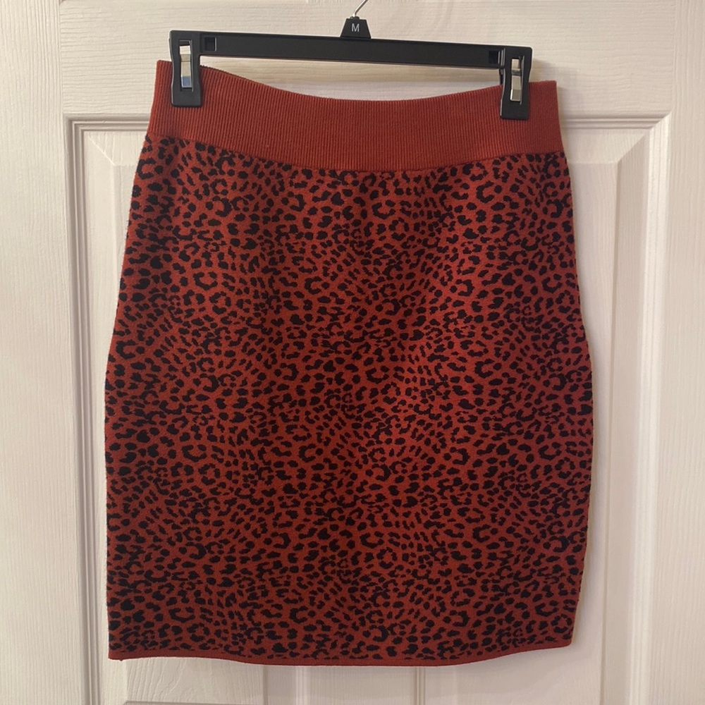 NWT Express skirt